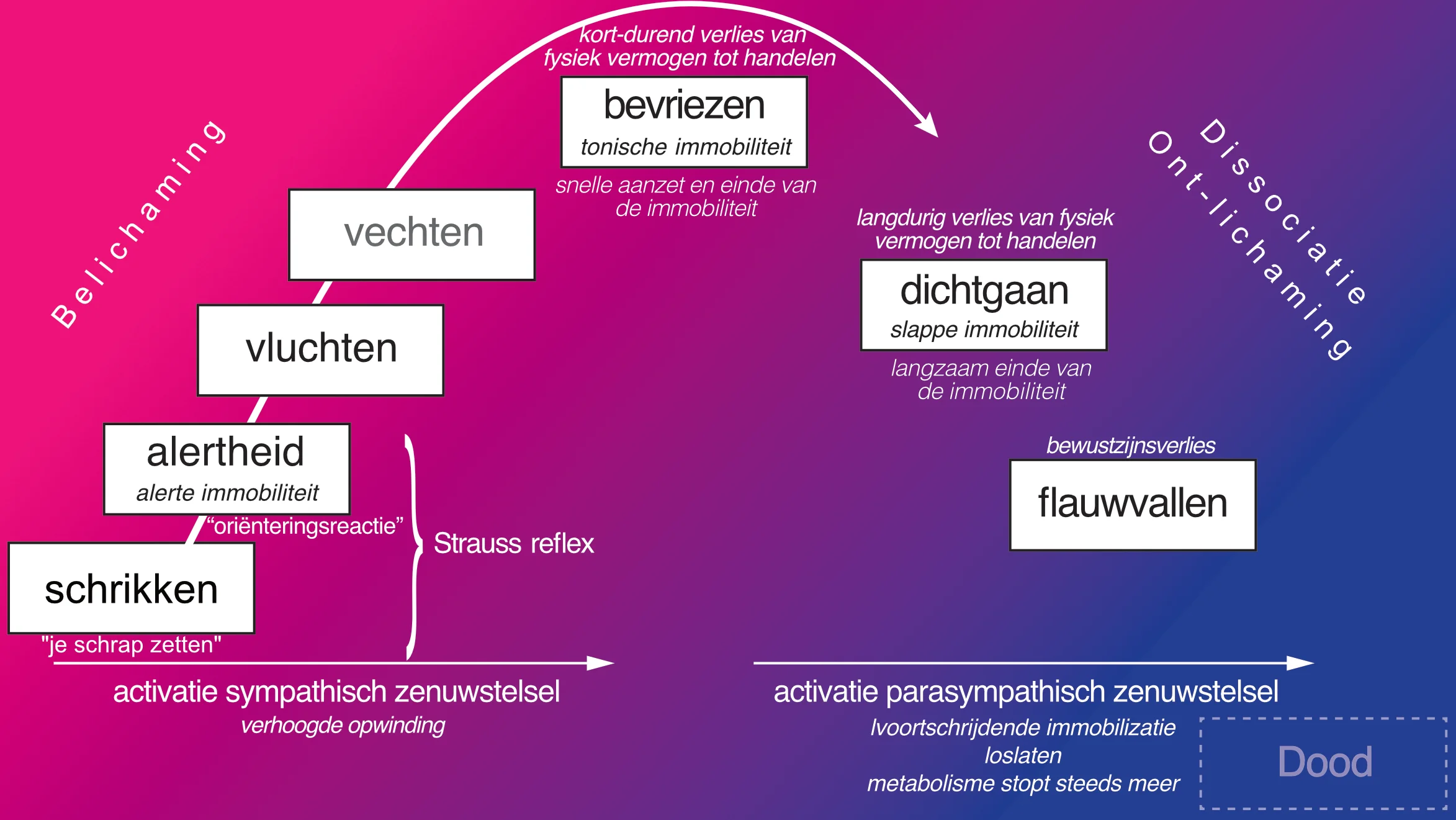 Verdedigings dissociatie%20sequentie%20kleur